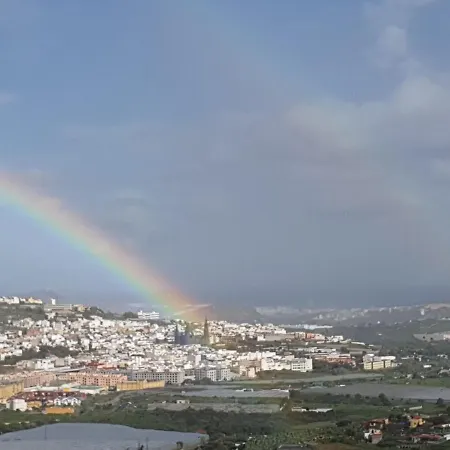 El Antiguo Zoco De *